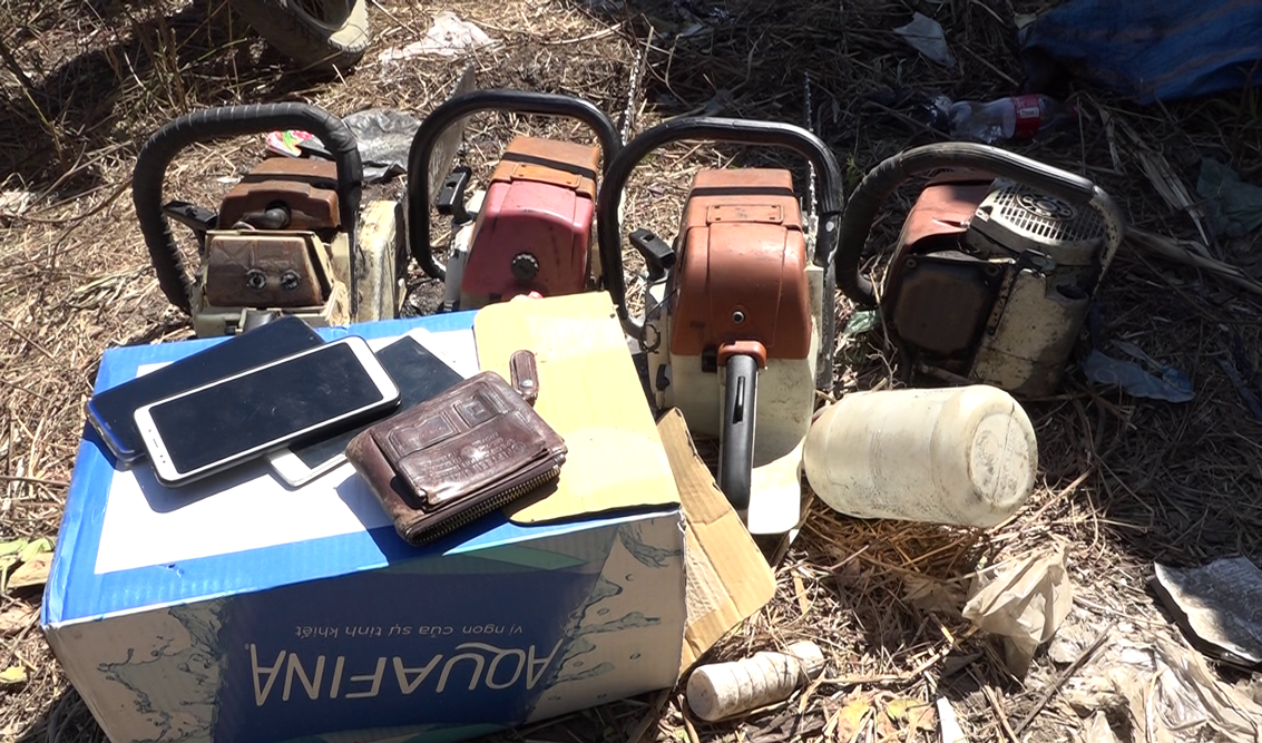 Rừng thông tuyệt đẹp ở cửa ngõ Đà Lạt bị xẻ ván tại chỗ ảnh 5