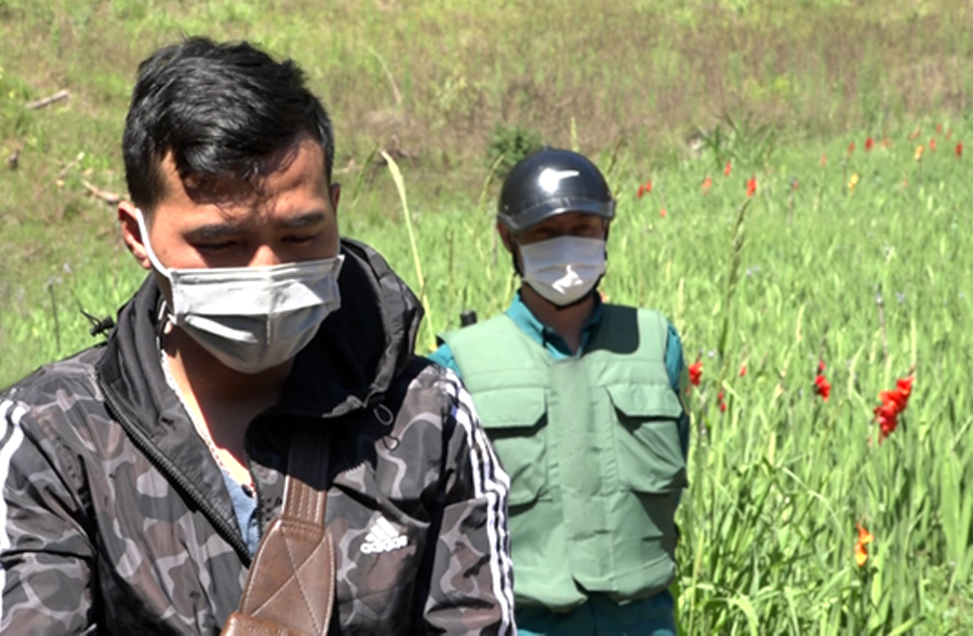 Rừng thông tuyệt đẹp ở cửa ngõ Đà Lạt bị xẻ ván tại chỗ ảnh 4