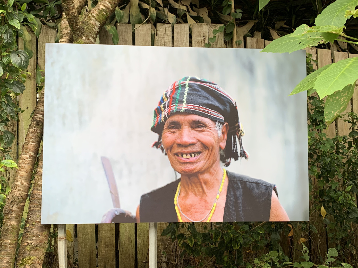 Lãng mạn triển lãm ảnh trên cung đường tình yêu Đà Lạt ảnh 1