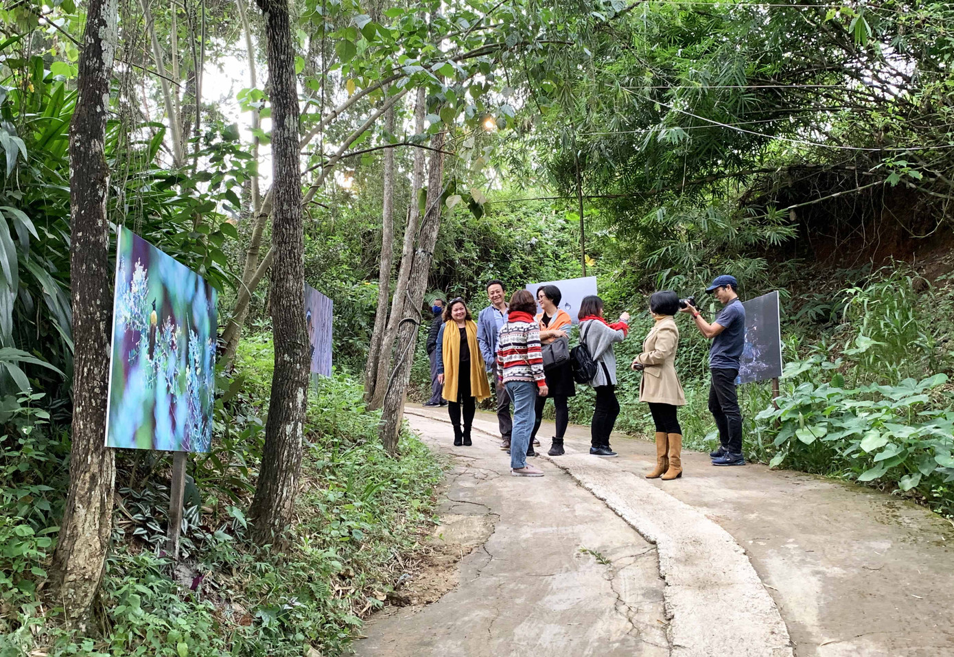 Lãng mạn triển lãm ảnh trên cung đường tình yêu Đà Lạt ảnh 7