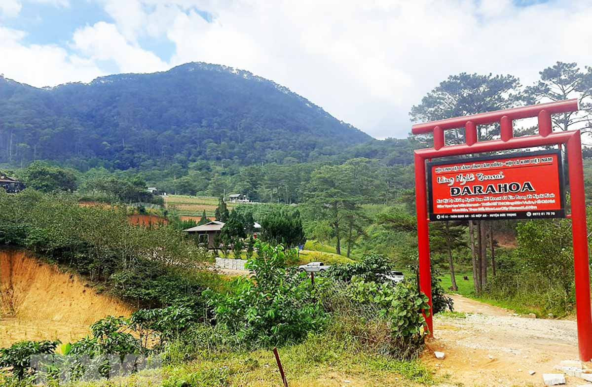 Kiểm tra, xử lý vụ xây ‘chui’ cả ngôi làng trên đất lâm nghiệp ảnh 2