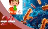 NHỊP SỐNG 24: Triệu chứng của chất Cereulide có trong các loại sữa bị NESTLÉ thu hồi