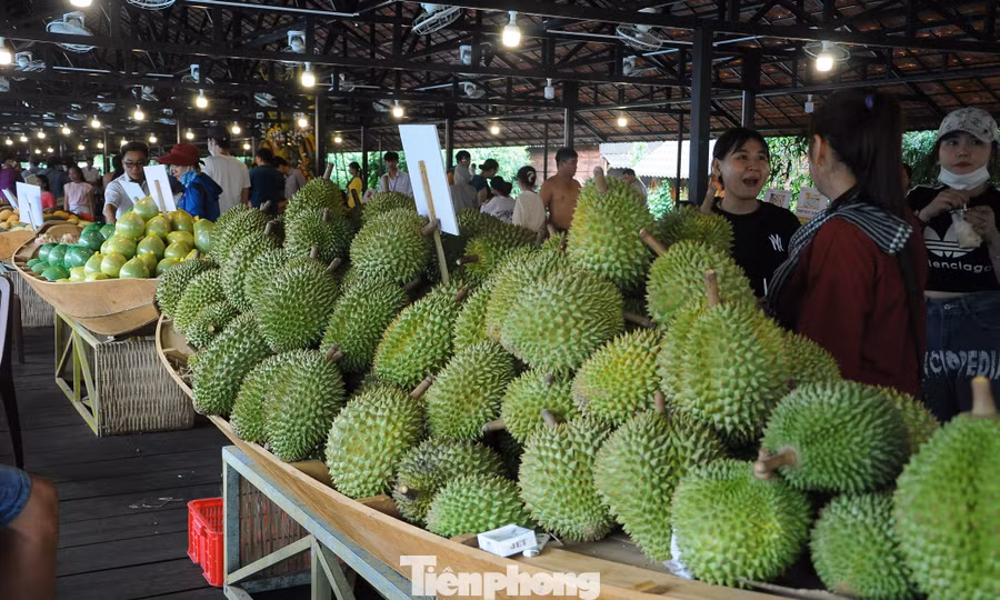 Tuần lễ trái cây miệt vườn quy mô lớn sắp diễn ra tại TPHCM