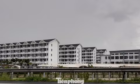 Cần Thơ mời gọi đầu tư 2 dự án nhà ở xã hội gần 1.400 căn hộ