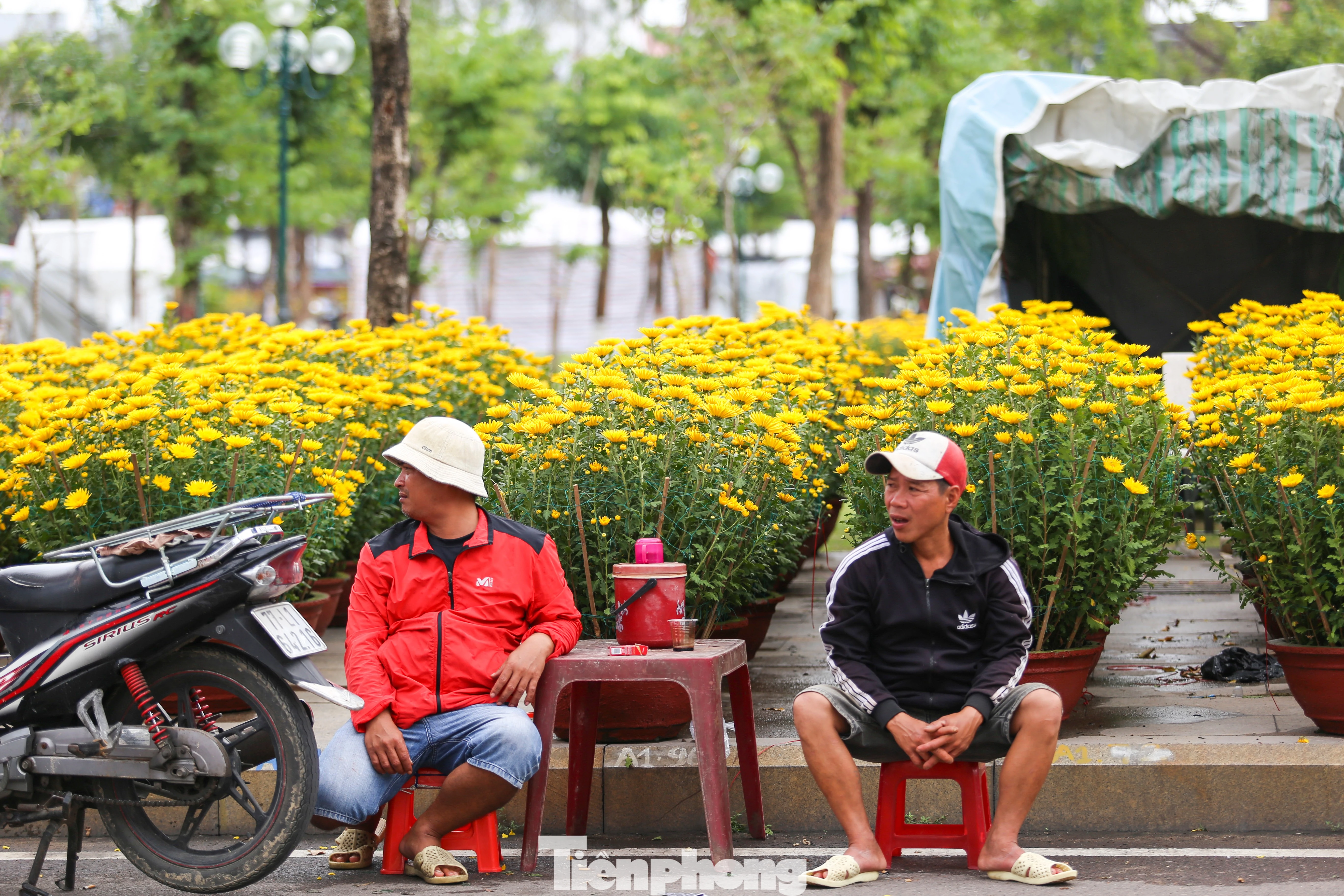 Thị trường hoa Tết Quy Nhơn ế ẩm, tiểu thương lo lắng dù cận ngày 29 Tết