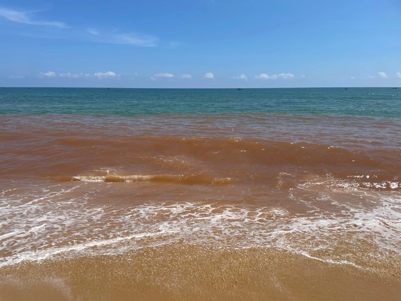Nước biển Nha Trang chuyển màu nâu đỏ bất thường, nghi ngờ hiện tượng thủy triều đỏ