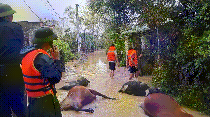 Người dân ở Gia Lai kể giây phút lũ cuốn trôi gia sản