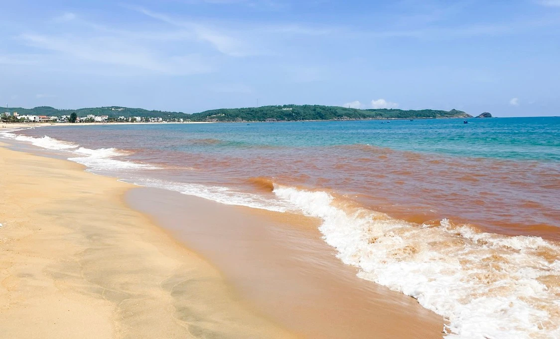 Biển Gia Lai Bất Ngờ Đổi Màu Nâu Đỏ, Nghi Ngờ Do Thủy Triều Đỏ