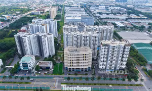Giá căn hộ, nhà phố TPHCM thấp hơn Hà Nội gần 50%