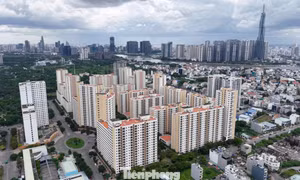 Phân khúc bất động sản nào tăng giá mạnh nhất 10 năm qua? 