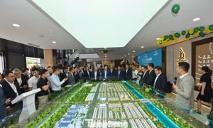 Diễn biến lạ trên thị trường đất nền