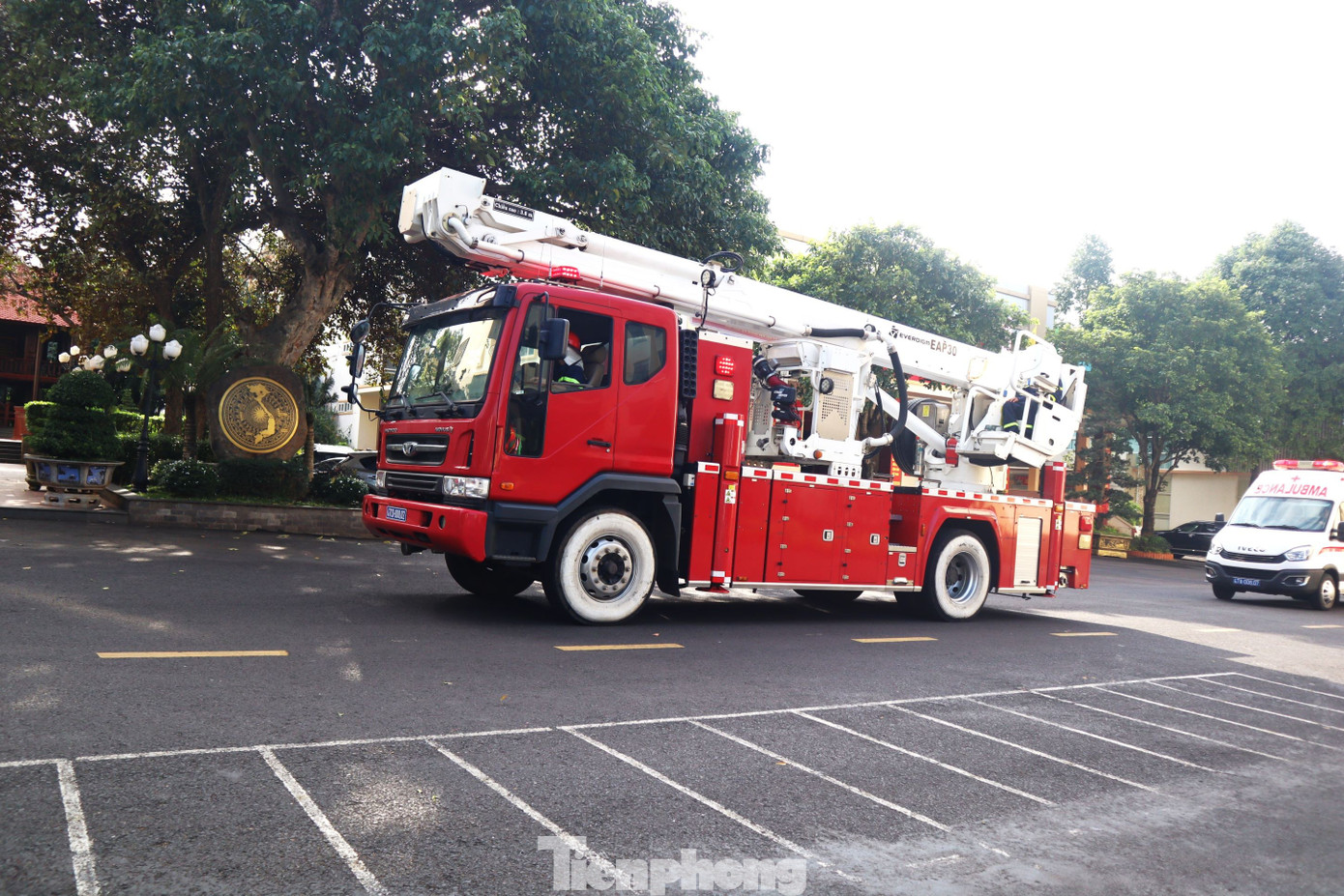 tp-1315.jpg