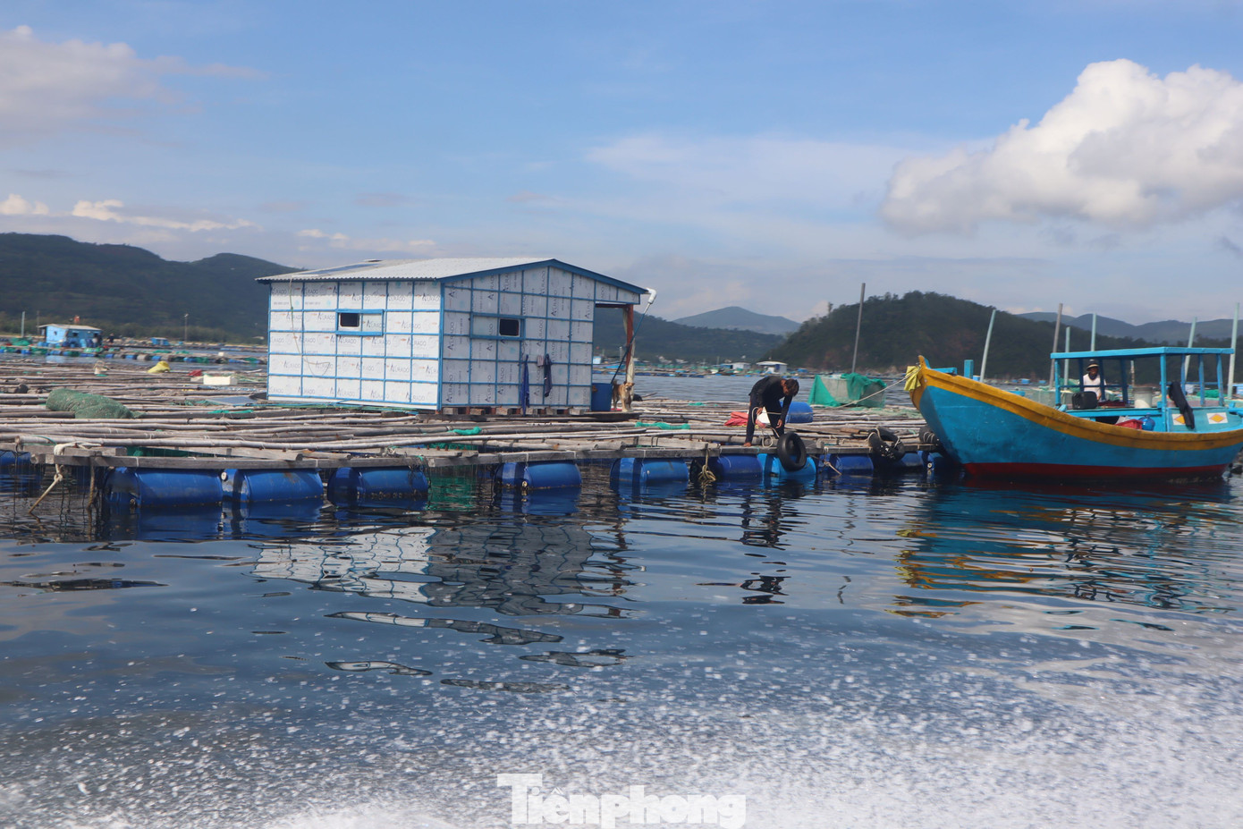 Lồng bè nuôi thuỷ sản trên vịnh Xuân Đài. tp-7.jpg