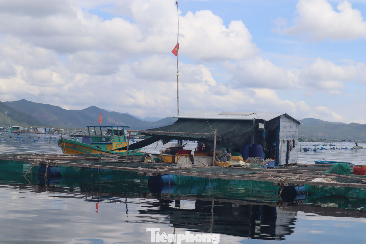 Việc nuôi thuỷ sản quá dày, tiềm ẩn nguy cơ ô nhiễm môi trường. tp-9.jpg