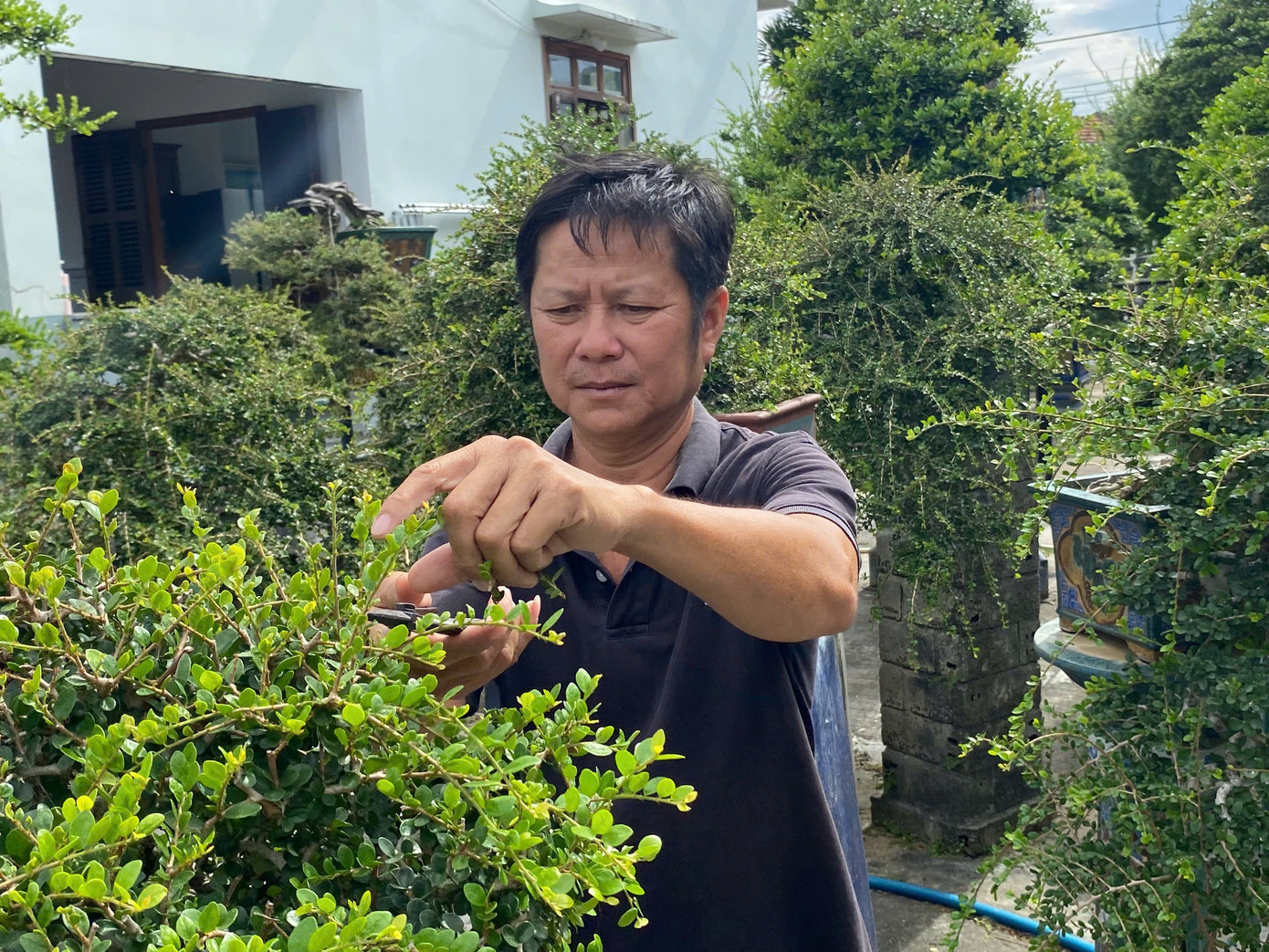 Anh Chính tập trung tạo dáng cho cây cảnh. 3.jpg