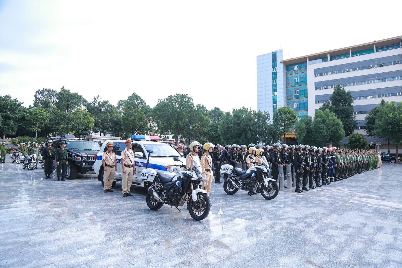 tienphong-12122.jpg