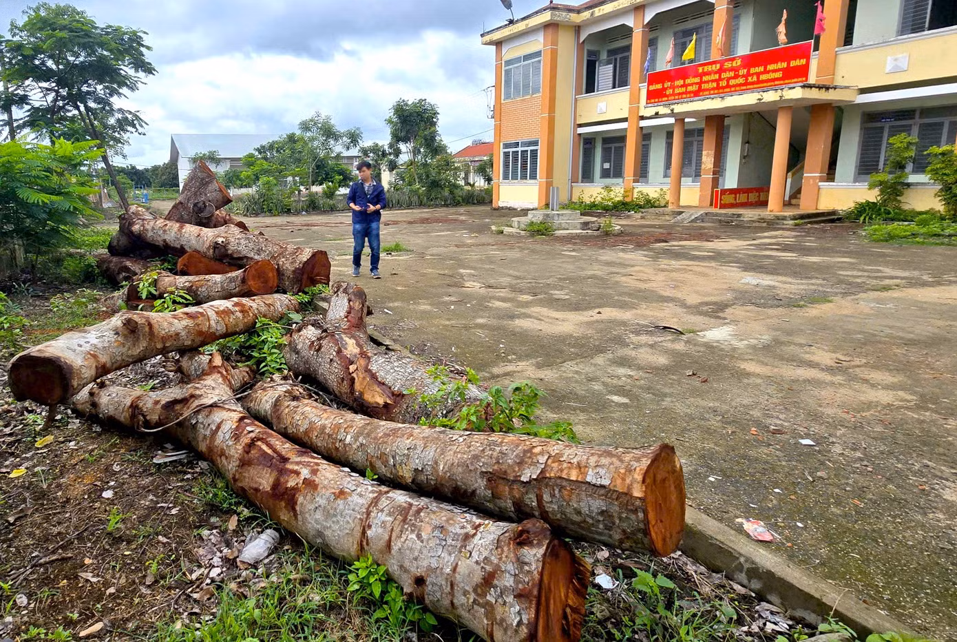 tien-phong.jpg