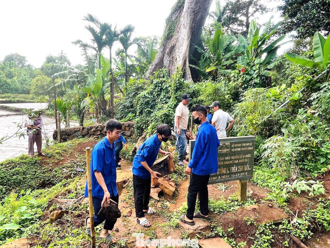 Trong Chiến dịch Thanh niên tình nguyện hè , Đoàn Xã Cư M’gar, tỉnh Đắk Lắk đã tổ chức nhiều hoạt động thiết thực góp phần bảo vệ môi trường và xây dựng nông thôn mới. tp-3.jpg