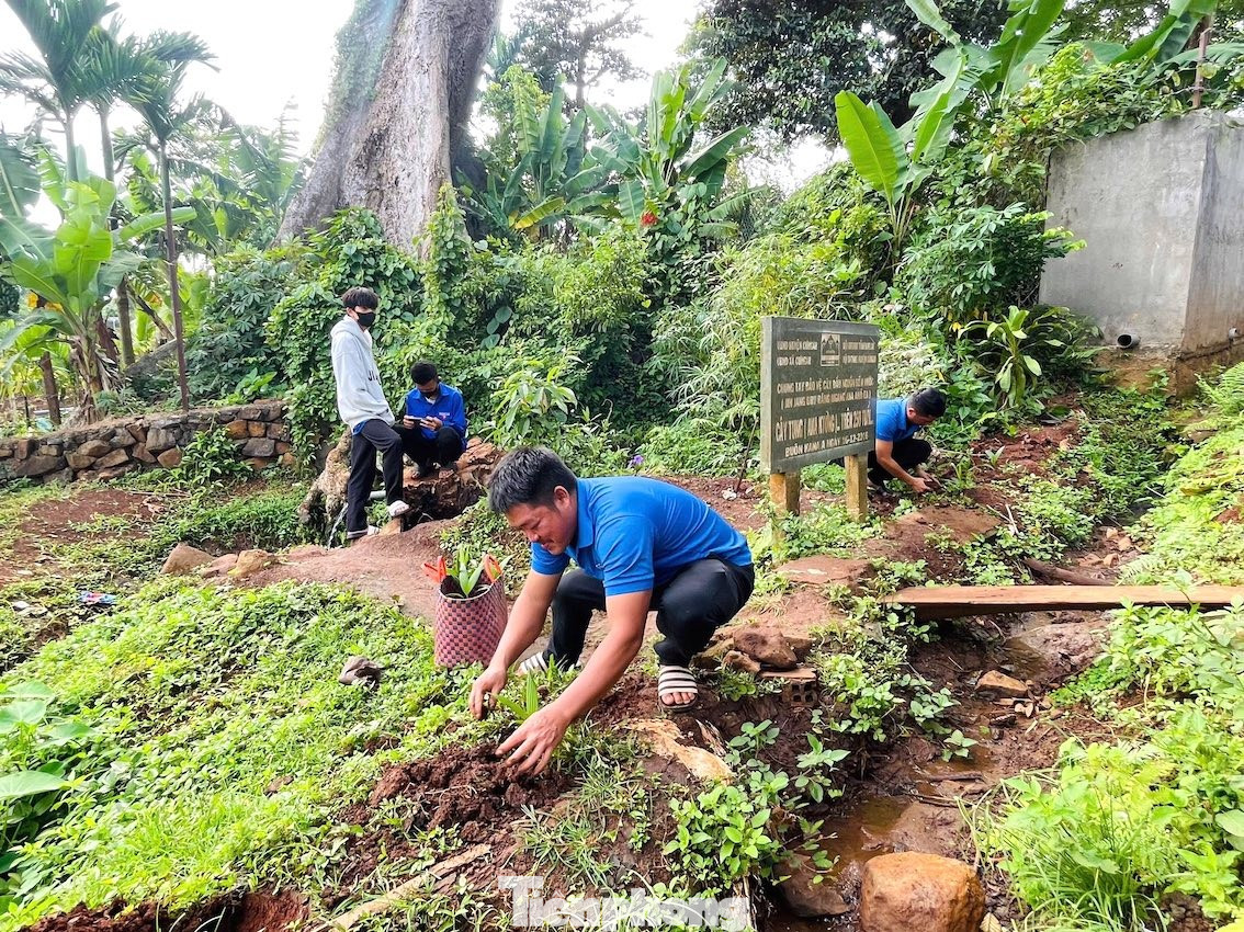 Đoàn viên, thanh niên tham gia trồng mới cây xanh dọc các tuyến đường đến bến nước, góp phần tạo cảnh quan xanh – sạch – đẹp và phòng chống biến đổi khí hậu. tp-1.jpg