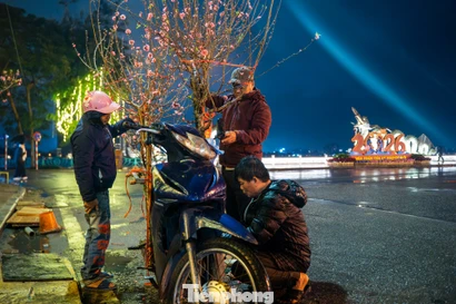 Hà Nội mưa rét thấu xương, tiểu thương trắng đêm trông đào quất