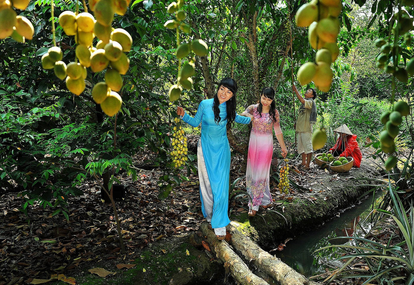 Vườn cây Lái Thiêu (phường Lái Thiêu) giai-iii-du-lich-vuon-tg-vu-huy-son-dc-binh-duong.jpg