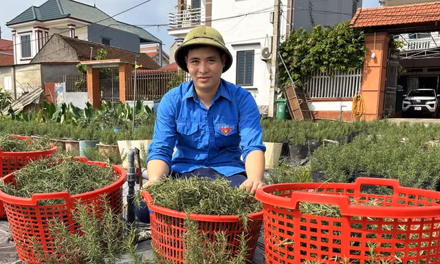 Bắc Ninh bố trí 190 tỷ đồng tiếp sức thanh niên khởi nghiệp