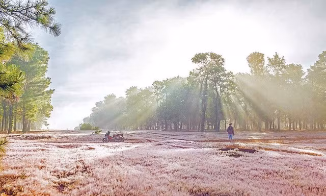 Tỉnh Gia Lai chấp thuận đầu tư Dự án Sân golf Đak Đoa cho doanh nghiệp thuộc FLC