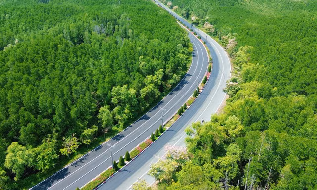 Cần Giờ: Rừng xanh – biển bạc – nắng vàng, hút khách dịp 30/4 