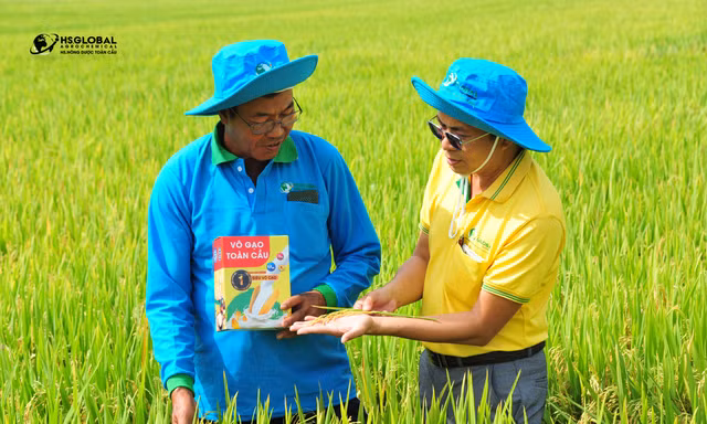 Nông Dược Toàn Cầu - Người bạn đồng hành tin cậy của nông dân Việt