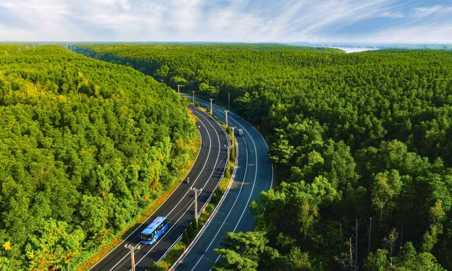 5.000 runners đếm ngược tới ngày “detox phổi” tại “mỏ oxy khổng lồ” của TP.HCM