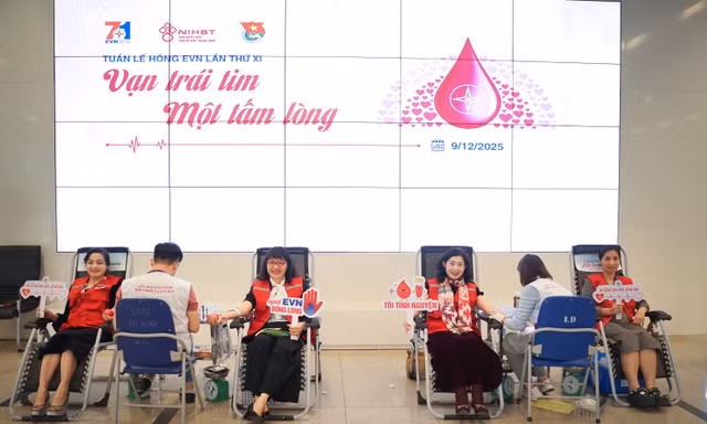 Tuần lễ hồng EVN lần thứ XI ‘Vạn trái tim - Một tấm lòng’