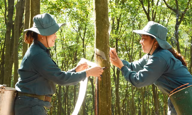 VRG củng cố vị thế tập đoàn nông nghiệp – công nghiệp hàng đầu với những bước tiến mạnh mẽ trong năm 2025