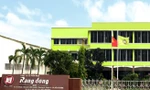 Cú trượt dài của Rạng Đông Holding