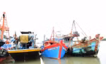 TPHCM xử lý hàng trăm tàu cá để mất kết nối hành trình khai thác thủy sản