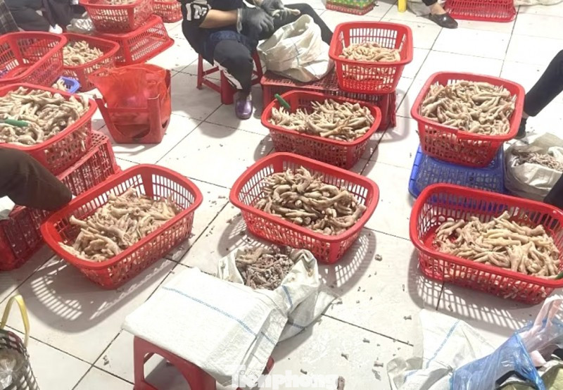 Thu giữ trên 3,5 tấn chân gà ‘bẩn’ ở khu vực biên giới