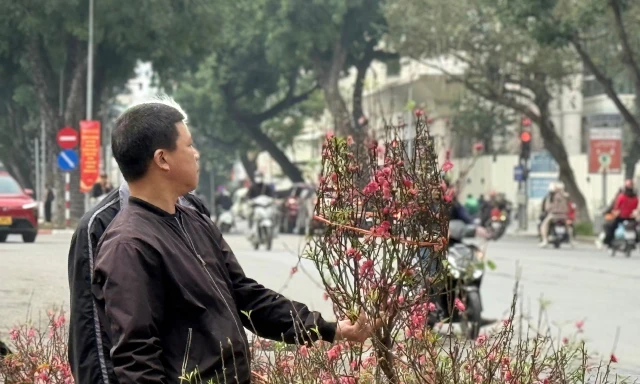 Bộ Tài chính thông tin về giá cả thị trường Tết 