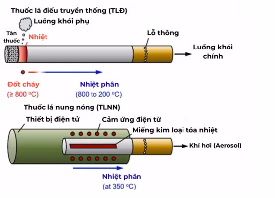 anh-chup-man-hinh-2025-09-15-luc-200915.png