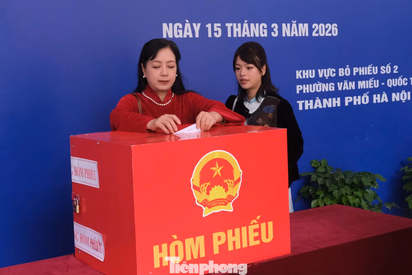 tp-118.jpg
