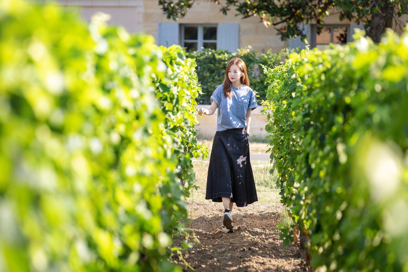 Cô từng bị đồn chuyển sang Pháp sinh sống sau khi bị phong sát ở Trung Quốc. 0vicki-zhao-at-her-vineyard-of-v.jpg