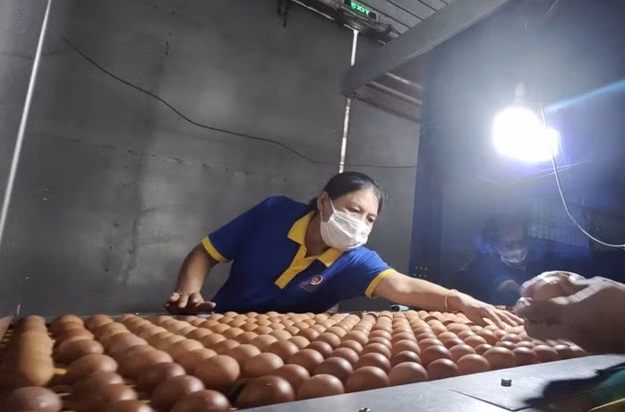 Trứng Ba Huân là một thương hiệu lớn trên thị trường.