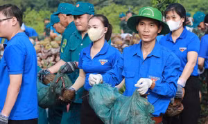 Ra quân vệ sinh đường phố TPHCM