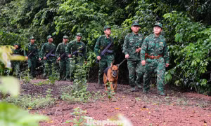 Những bước chân âm thầm, lặng lẽ nhưng chứa đựng trách nhiệm hết sức nặng nề, nhất là khi khu vực biên giới ở một số quốc gia đang diễn biến phức tạp.