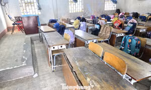Vụ phụ huynh rơi nước mắt nhìn phòng học của con, Sở GD&ĐT TPHCM chỉ đạo khẩn 