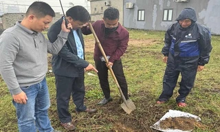 Cơ quan chức năng vào cuộc làm rõ hiện tượng giun chết bất thường ở Quảng Trị 