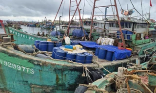 Quảng Trị xử phạt 4 thuyền trưởng tàu cá 877 triệu đồng 