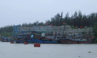 Tàu thuyền của ngư dân Thanh Hóa
