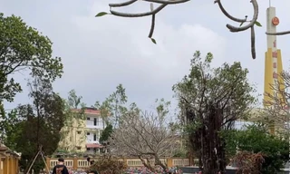 Nhiều học sinh chưa ngoan ở Quảng Trị tham gia quét dọn, vệ sinh Nghĩa trang Liệt sĩ