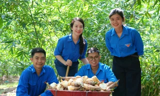 Lạc giữa rừng tre lục trúc của nhóm bạn trẻ ở Quảng Trị 