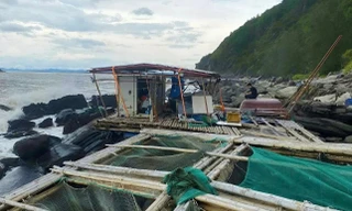 Ngư dân khóc ròng trước cảnh lồng bè nuôi cá ở vịnh Hòn La hư hại sau bão số 5