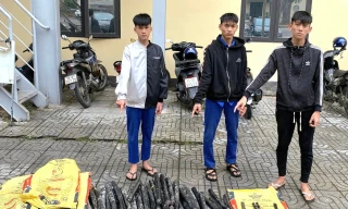 Bắt giữ nhóm chuyên trộm cắp cáp điện ngầm ở Quảng Trị
